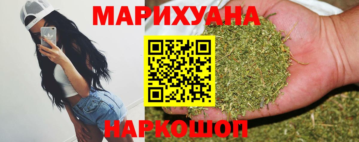 Конопля гибрид Гусиноозёрск